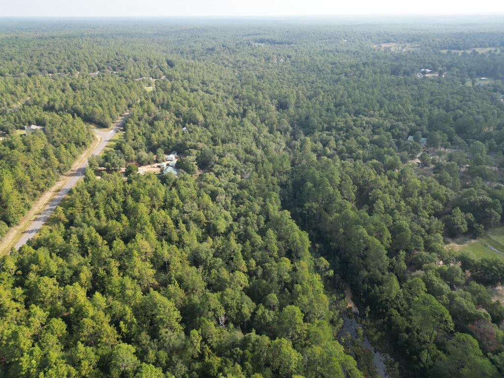 6119 Clear Creek Road Crestview, FL 32539 - Photo 15 of 46 an aerial view of forest