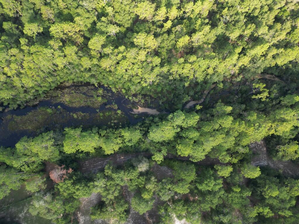 6119 Clear Creek Road Crestview, FL 32539 - Photo 16 of 46 a backyard of a house with a yard with outdoor seating