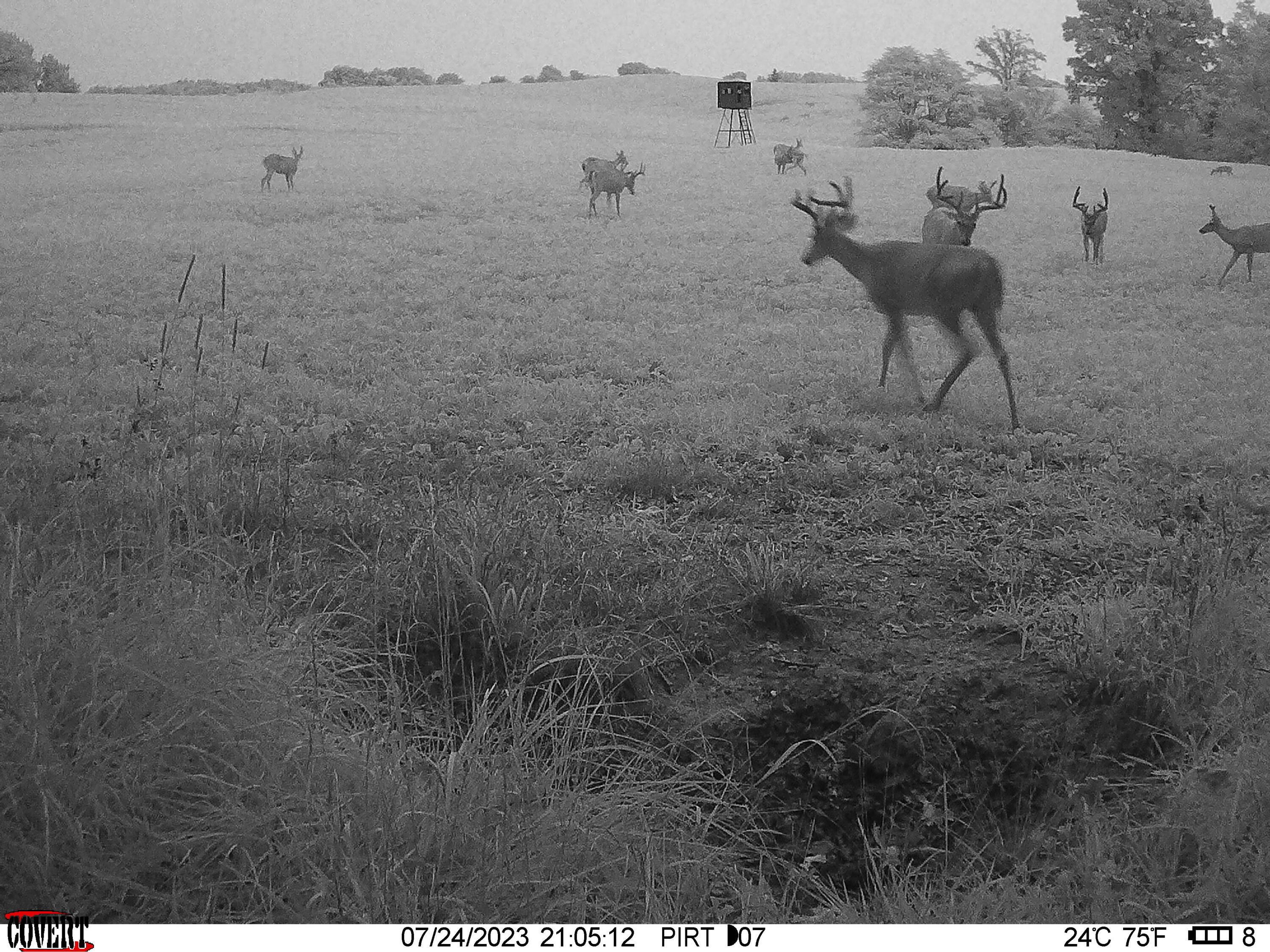 0 Stoneburner Road Northwest Crooksville, OH 43731 - Photo 13 of 26 image15