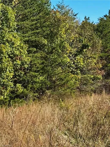 $137,500 | 4 Hanging Rock Park Road, Danbury, NC 27016