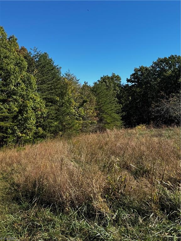 4 Hanging Rock Park Road Danbury, NC 27016 - Photo 6 of 7