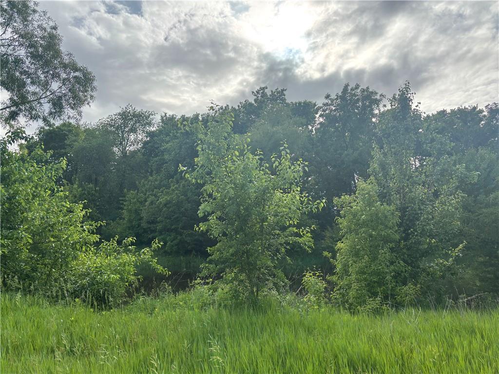 207th Rd Spring Hill Spring Hill, KS 66083 - Photo 5 of 7
