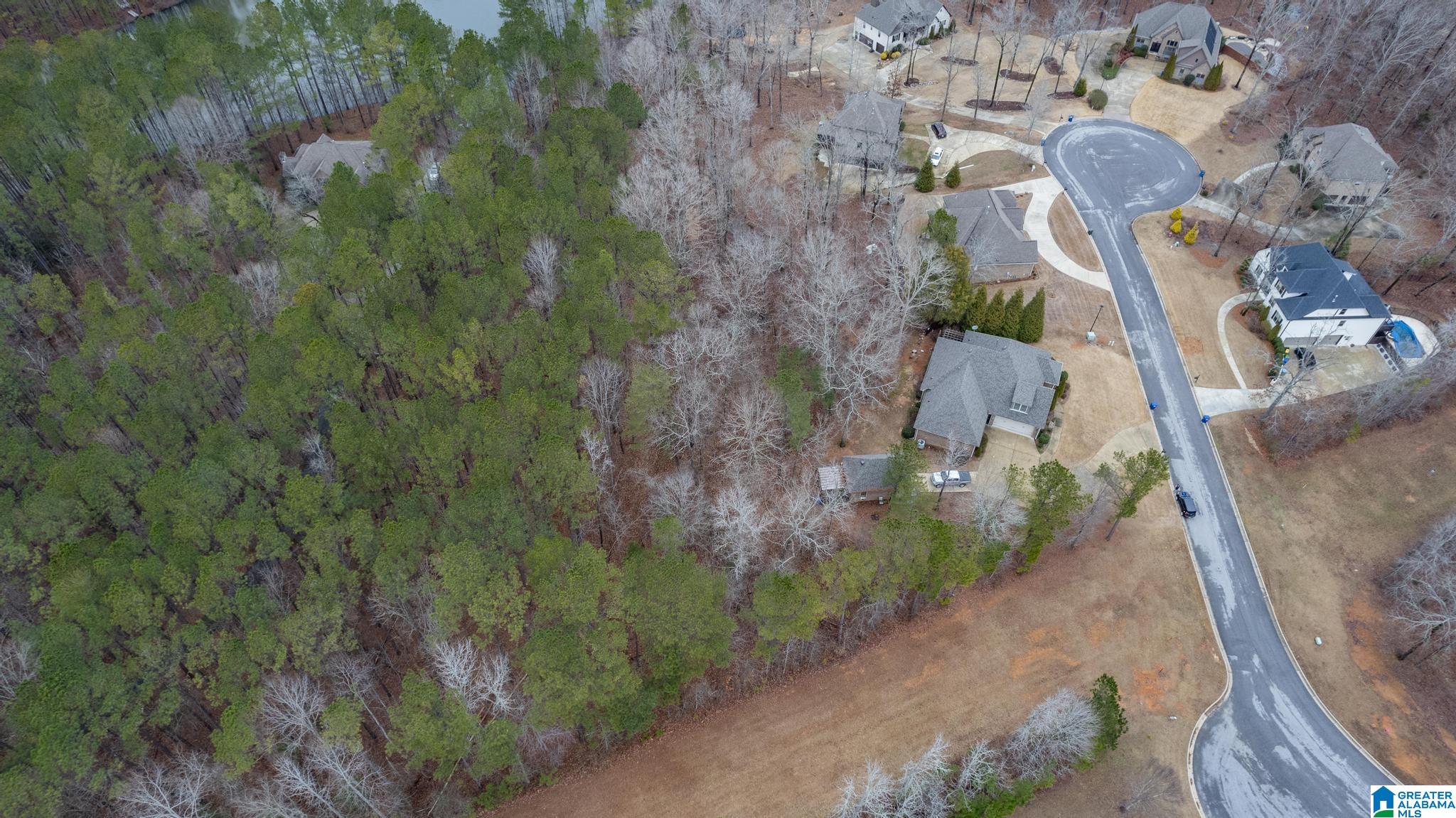 147 Highland Ridge Drive Chelsea, AL 35043 - Photo 55 of 58
