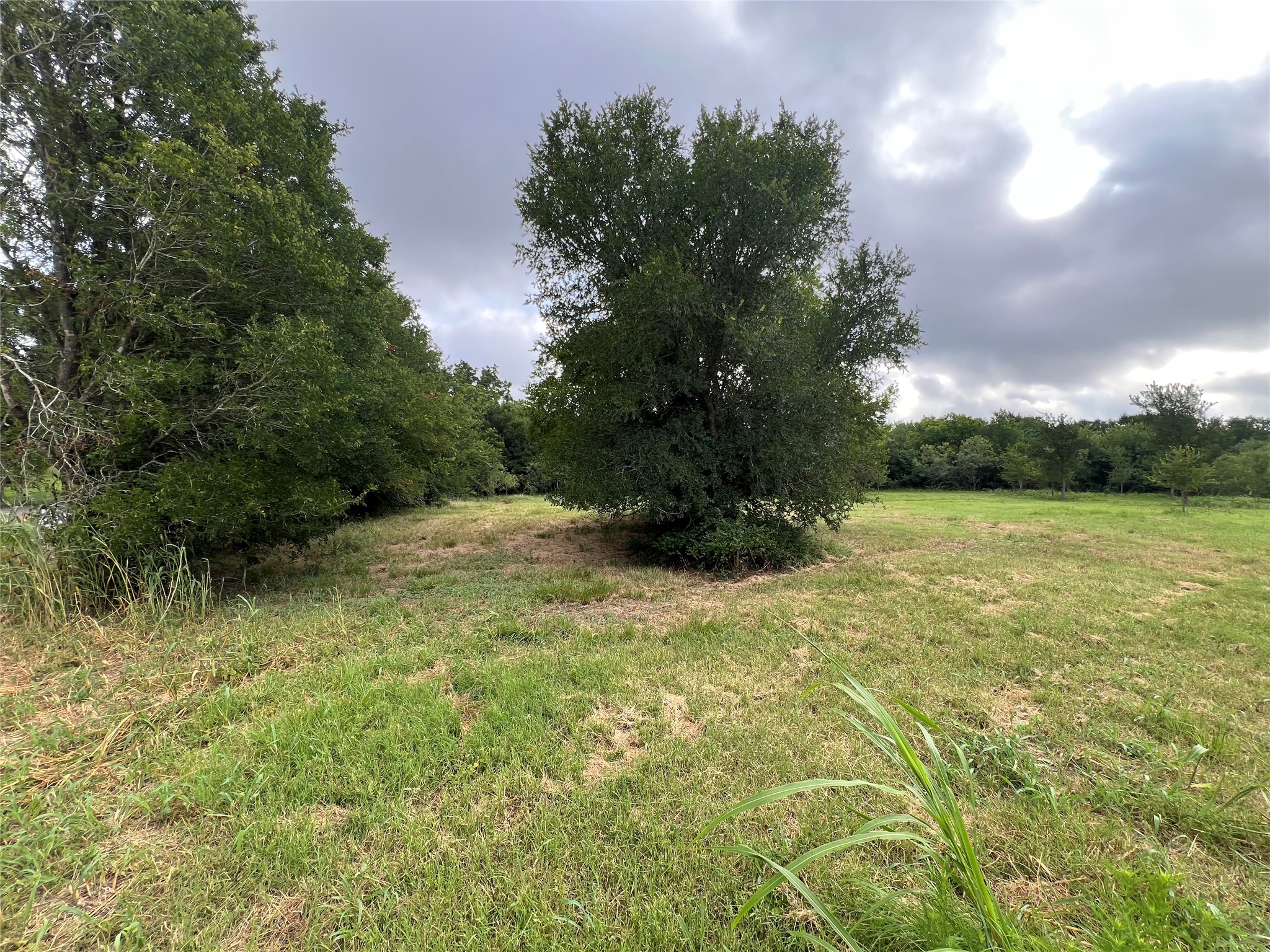 3000 Tract 2 Elgin, TX 78621 - Photo 6 of 17 Open space