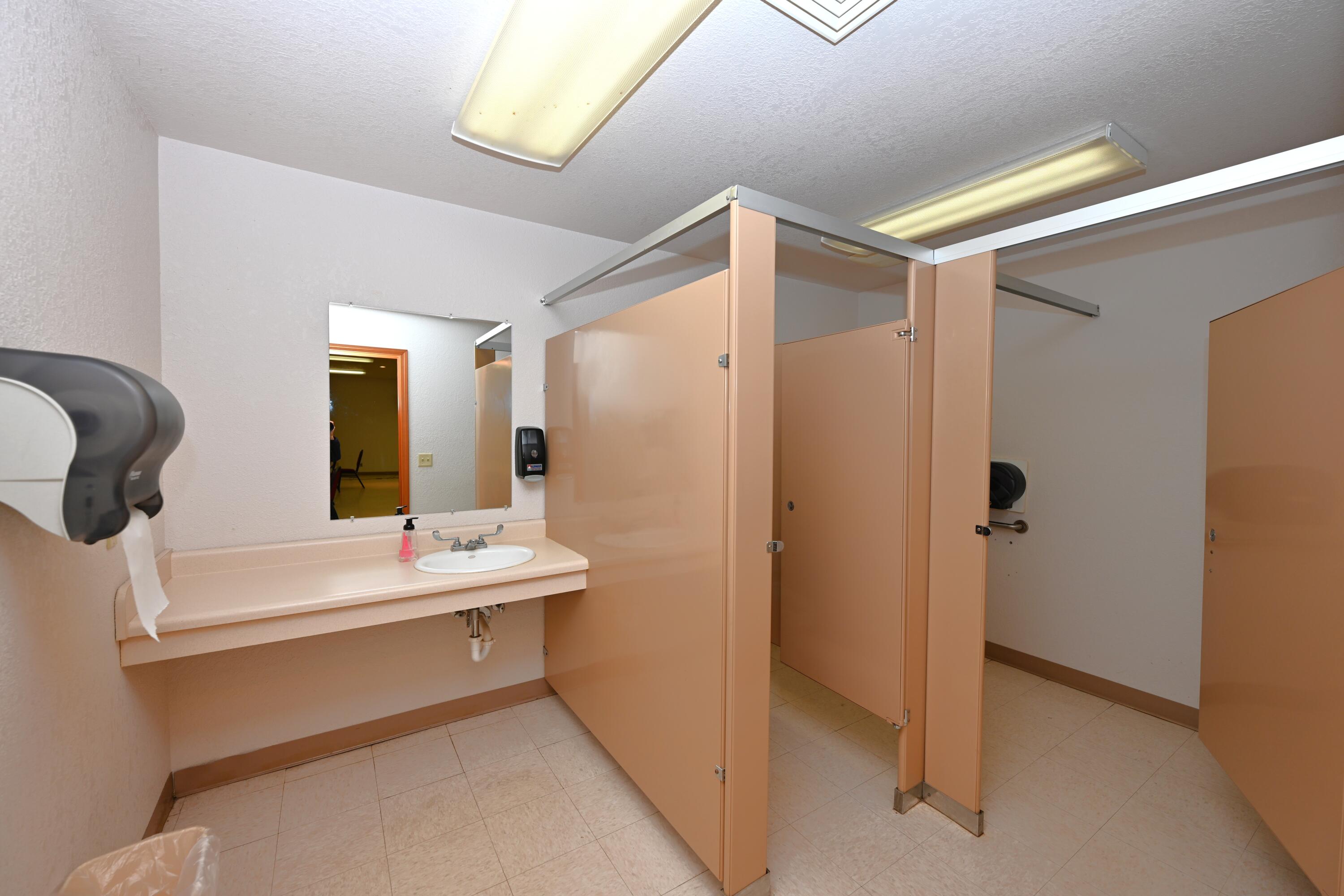 340 East 50 North Winamac, IN 46996 - Photo 22 of 38 a bathroom with a sink a mirror and a shower