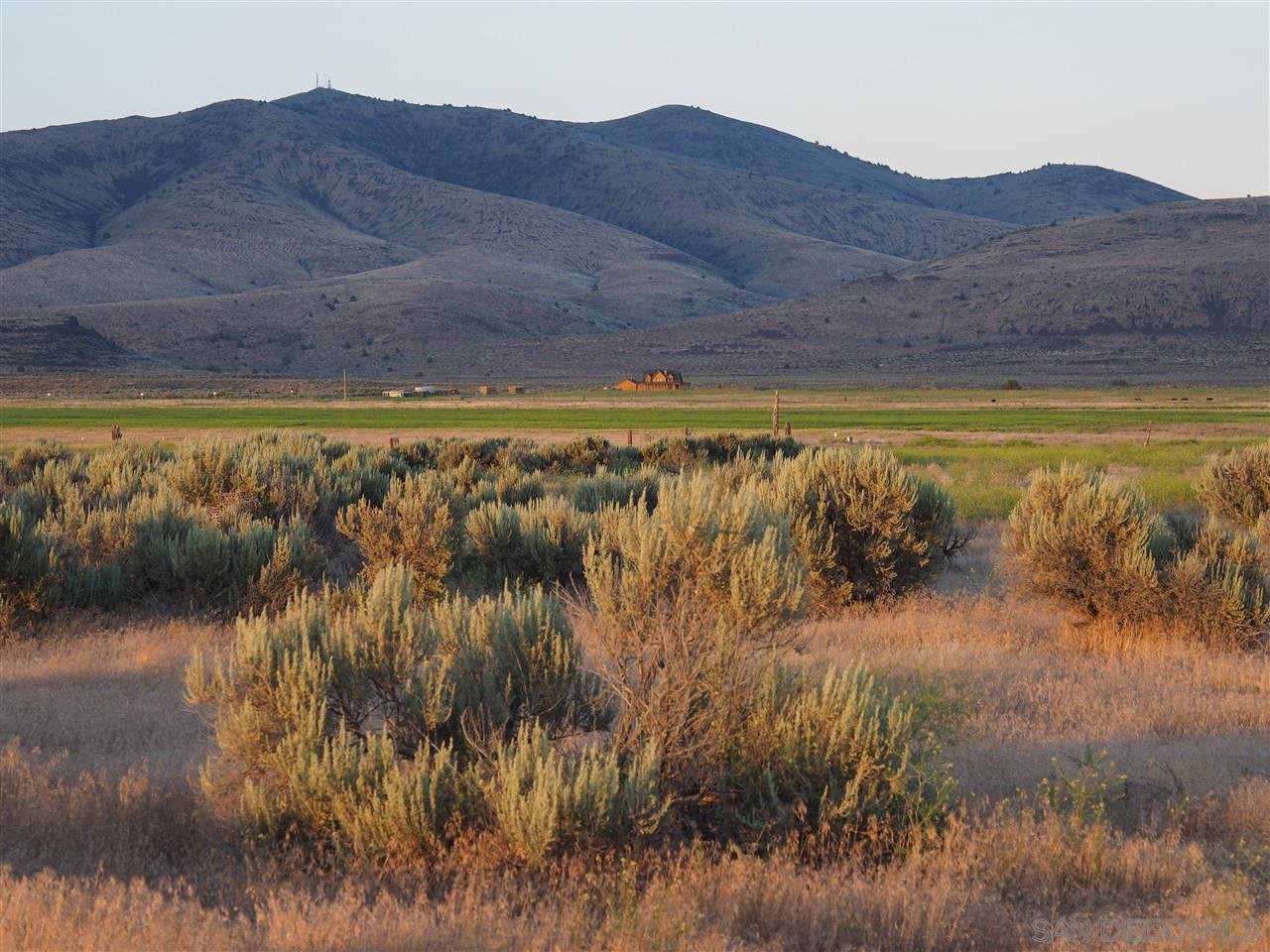 478600 Belfast Road Litchfield, CA 96117 - Photo 3 of 20 Gallery Image 3