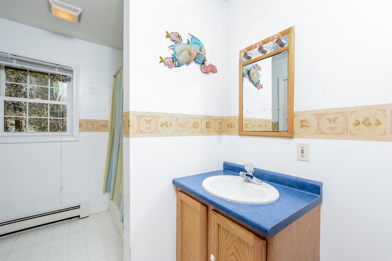 181 George Ryder Road Chatham, MA 02633 - Photo 11 of 24 a bathroom with a sink a mirror and a window