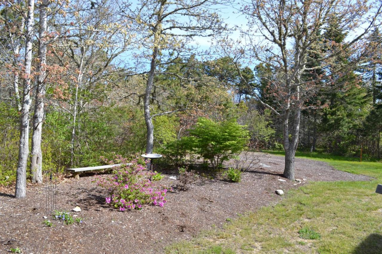 181 George Ryder Road Chatham, MA 02633 - Photo 19 of 24 a view of a park with large trees