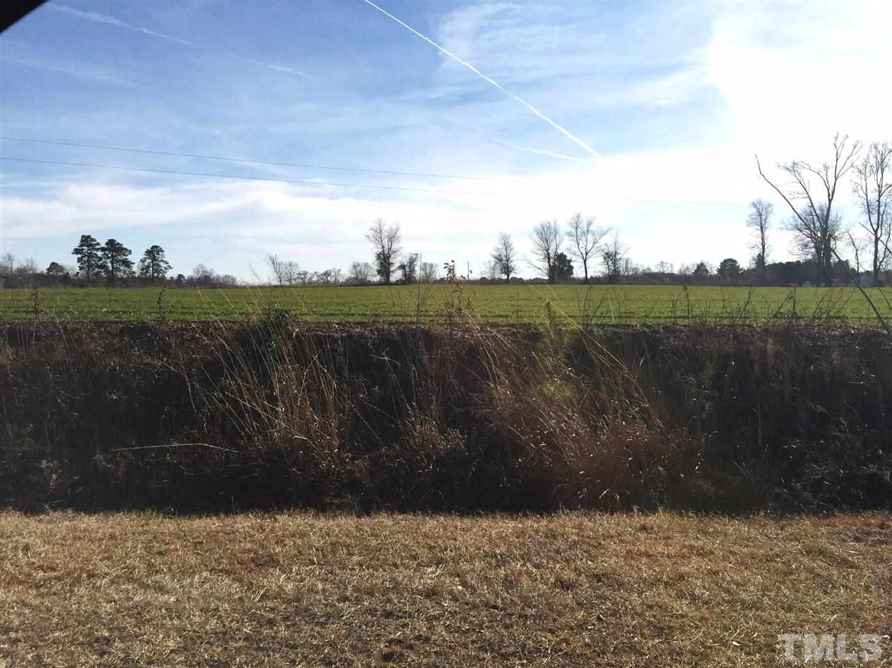 Meadow Road Kenly, NC 27542 - Photo 2 of 3 Gallery Image 2