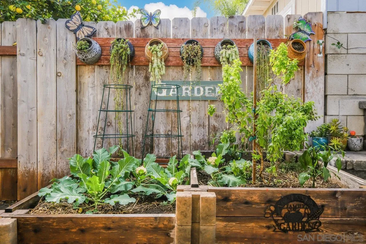 3726 Nassau Drive San Diego, CA 92115 - Photo 26 of 37 a front view of a house with a yard