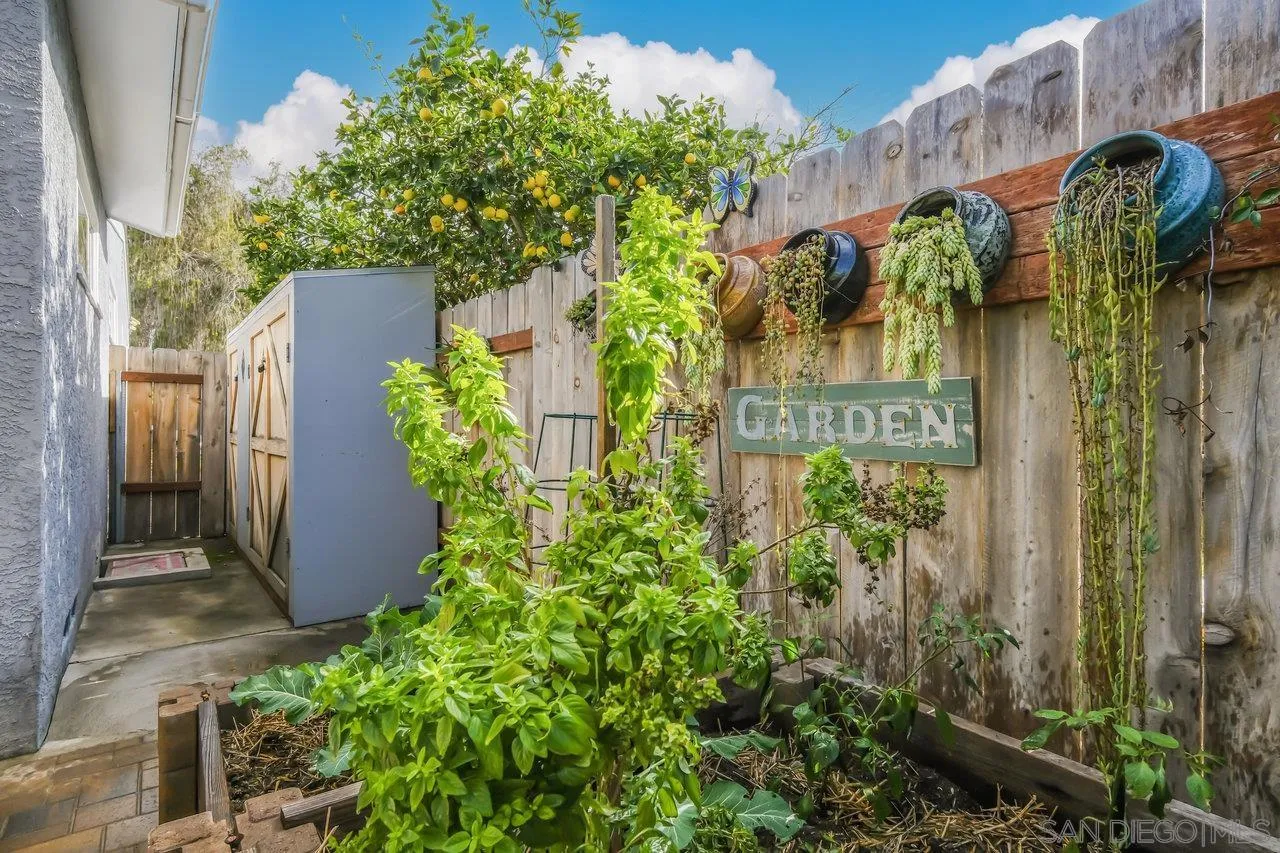 3726 Nassau Drive San Diego, CA 92115 - Photo 27 of 37 a view of a potted plants next to a building