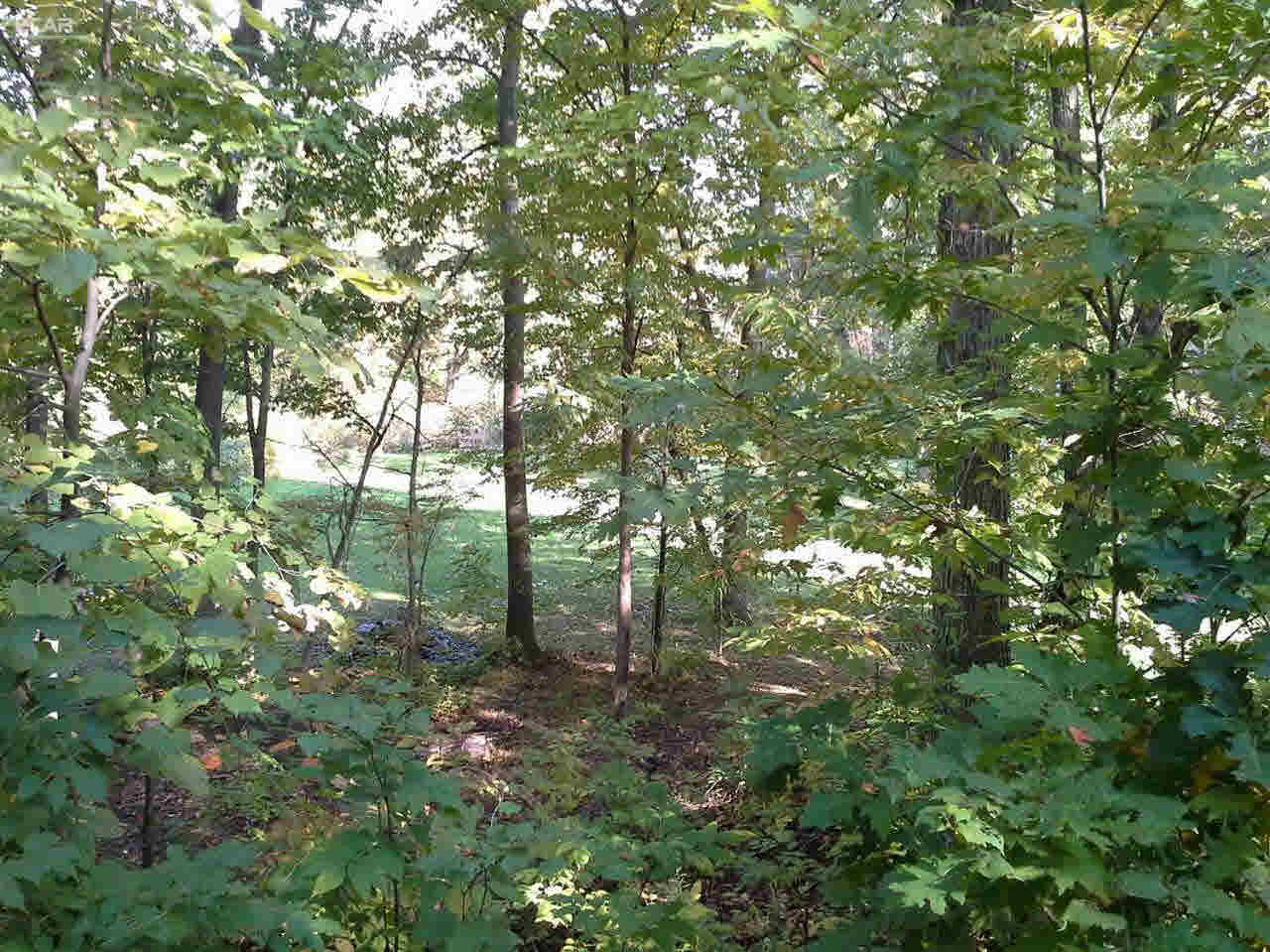 12220 East Lovejoy Road Byron, MI 48418 - Photo 11 of 14 21223541-10.JPG
