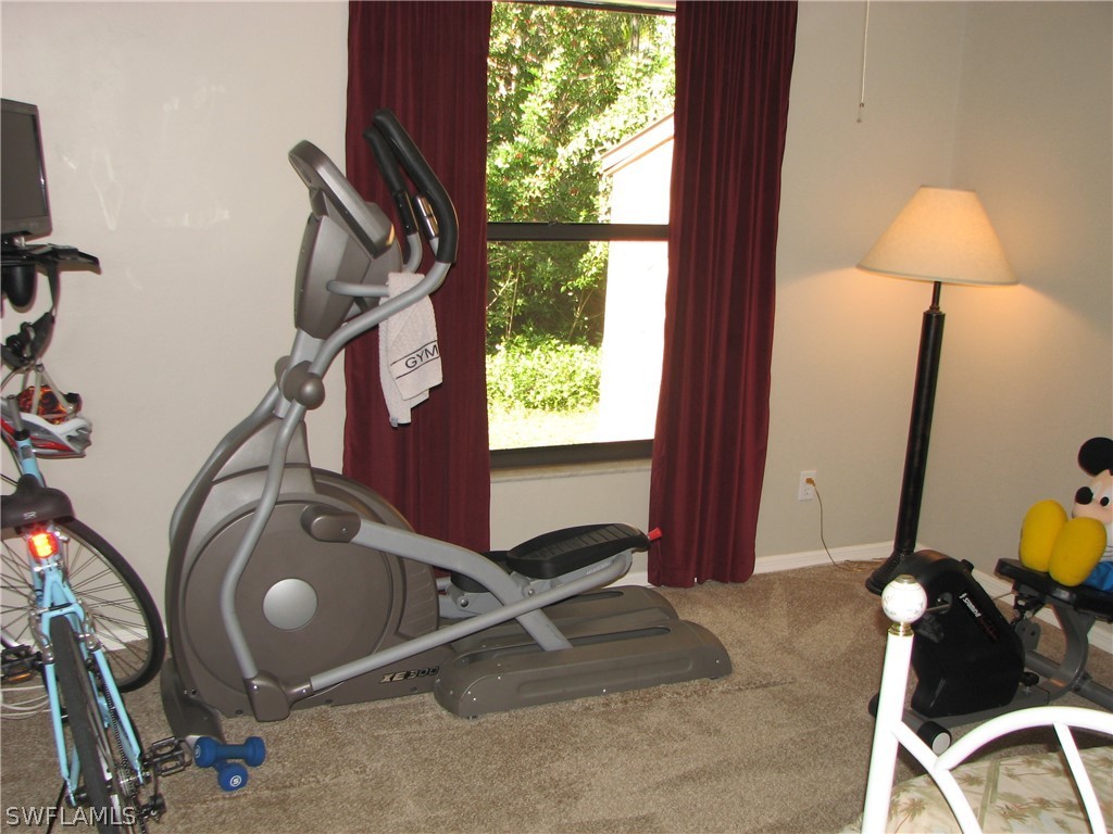 15252 Briar Ridge Circle Fort Myers, FL 33912 - Photo 20 of 25 a room with gym equipment and a large window