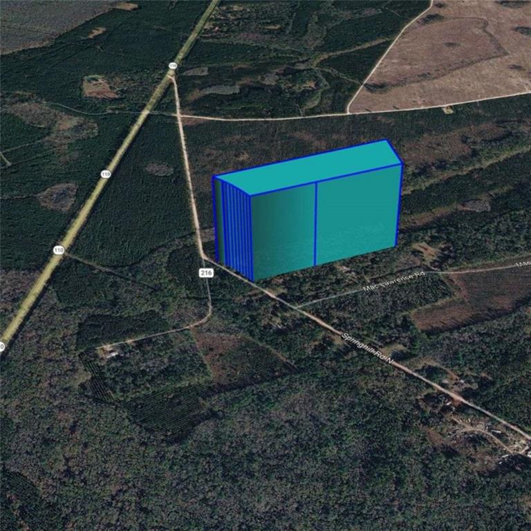 5434 Springhill Road North Folkston, GA 31537 - Photo 21 of 23 a view of a backyard