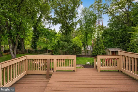 a view of a garden with a bench in the garden