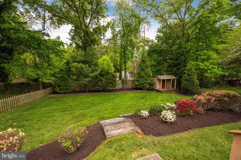 a view of a garden with large trees
