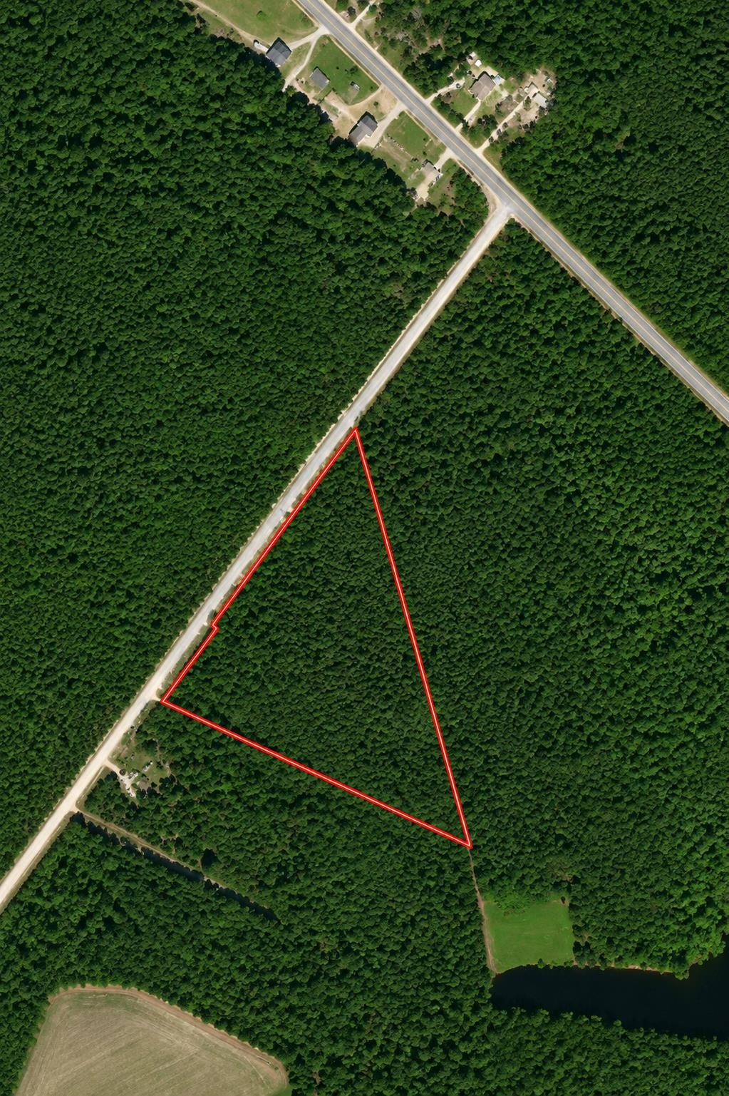 Tbd Wolf Pit Bay Road Nichols, SC 29581 - Photo 1 of 2 Gallery Image 1