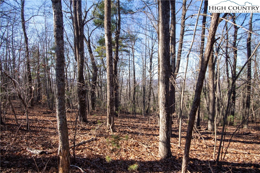 2206 Nighthawk Ridge Court Lenoir, NC 28645 - Photo 2 of 7