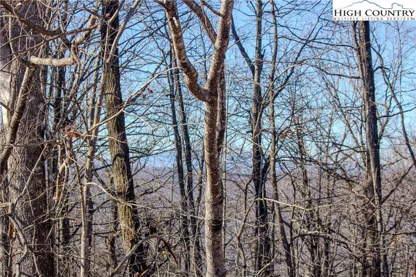 $89,000 | 2206 Nighthawk Ridge Court, Lenoir, NC 28645