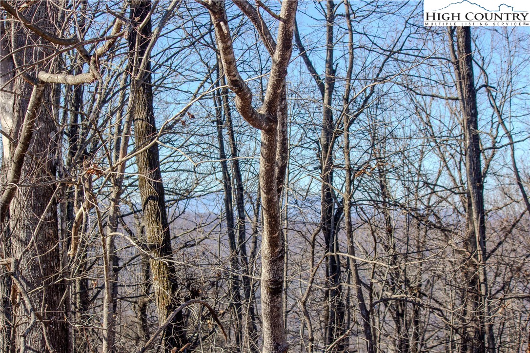 2206 Nighthawk Ridge Court Lenoir, NC 28645 - Photo 3 of 7