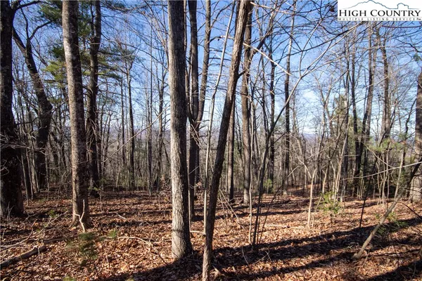 $89,000 | 2206 Nighthawk Ridge Court, Lenoir, NC 28645