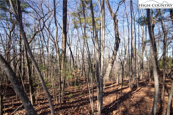 $89,000 | 2206 Nighthawk Ridge Court, Lenoir, NC 28645