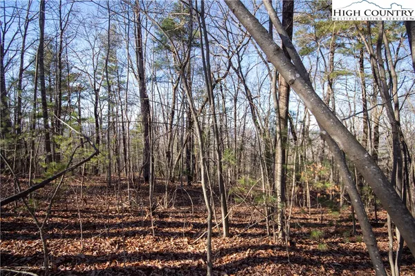 $89,000 | 2206 Nighthawk Ridge Court, Lenoir, NC 28645