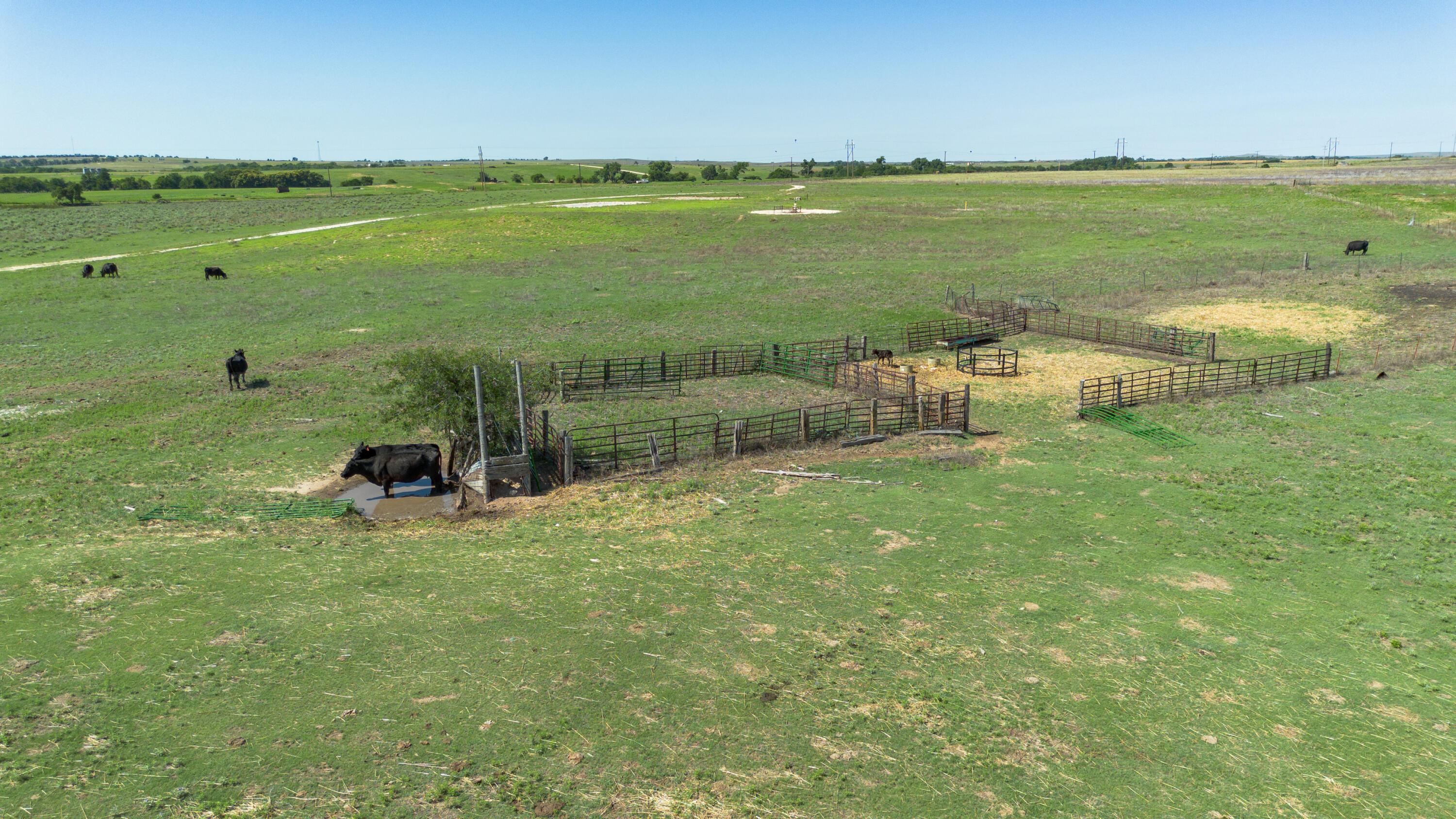 Dodd Grass 480ac County Line Road Briscoe, TX 79011 - Photo 11 of 37 011