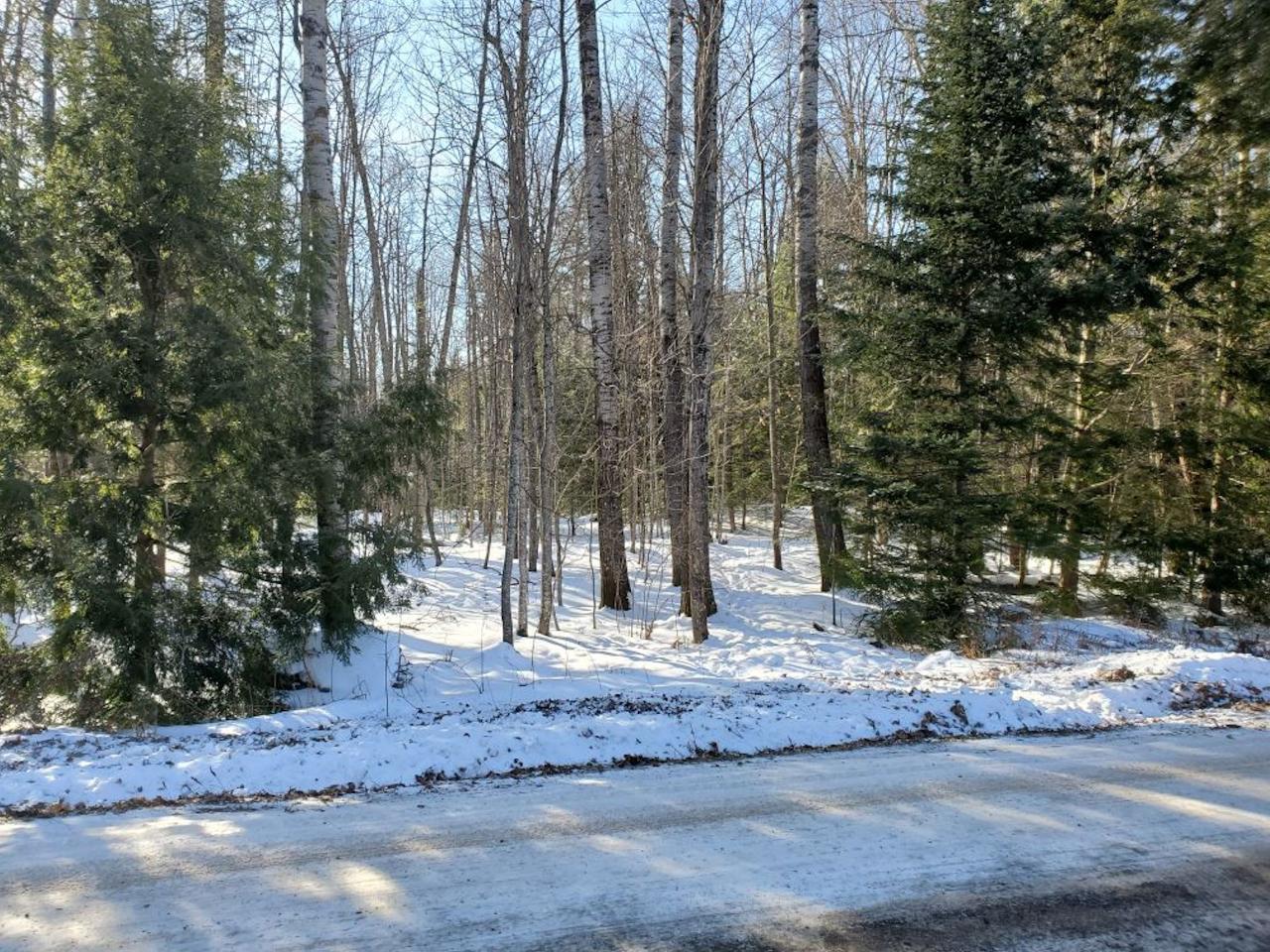 On Hilltop Road Rhinelander, WI 54501 - Photo 5 of 9 Gallery Image 5