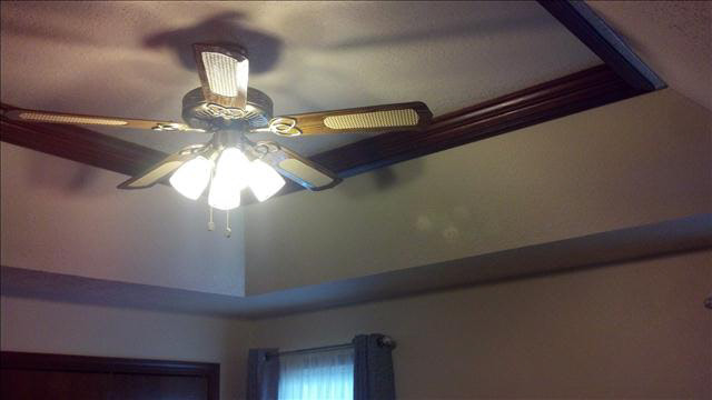 10283 Summerfield Road Temperance, MI 48182 - Photo 9 of 20 Deluxe tray ceiling