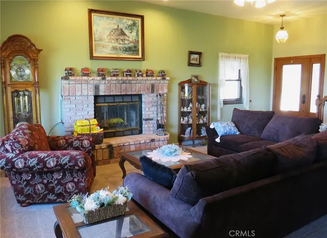 a living room with furniture flowerpot and a fireplace