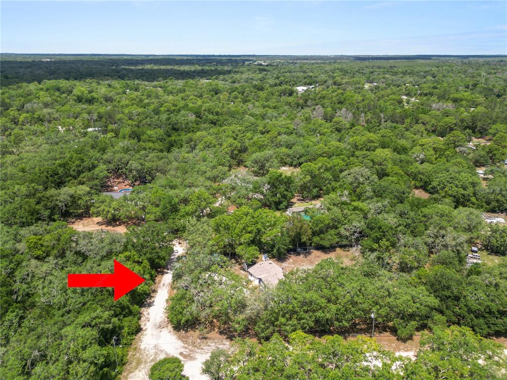 13043 Gennaro Road Hudson, FL 34669 - Photo 50 of 55