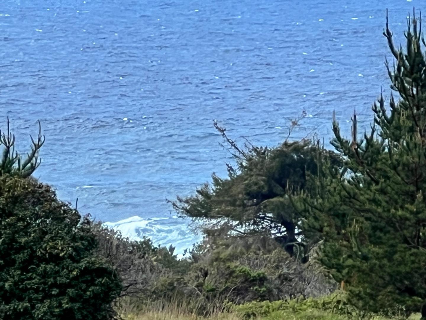 375 Spur Close The Sea Ranch, CA 95497 - Photo 15 of 16