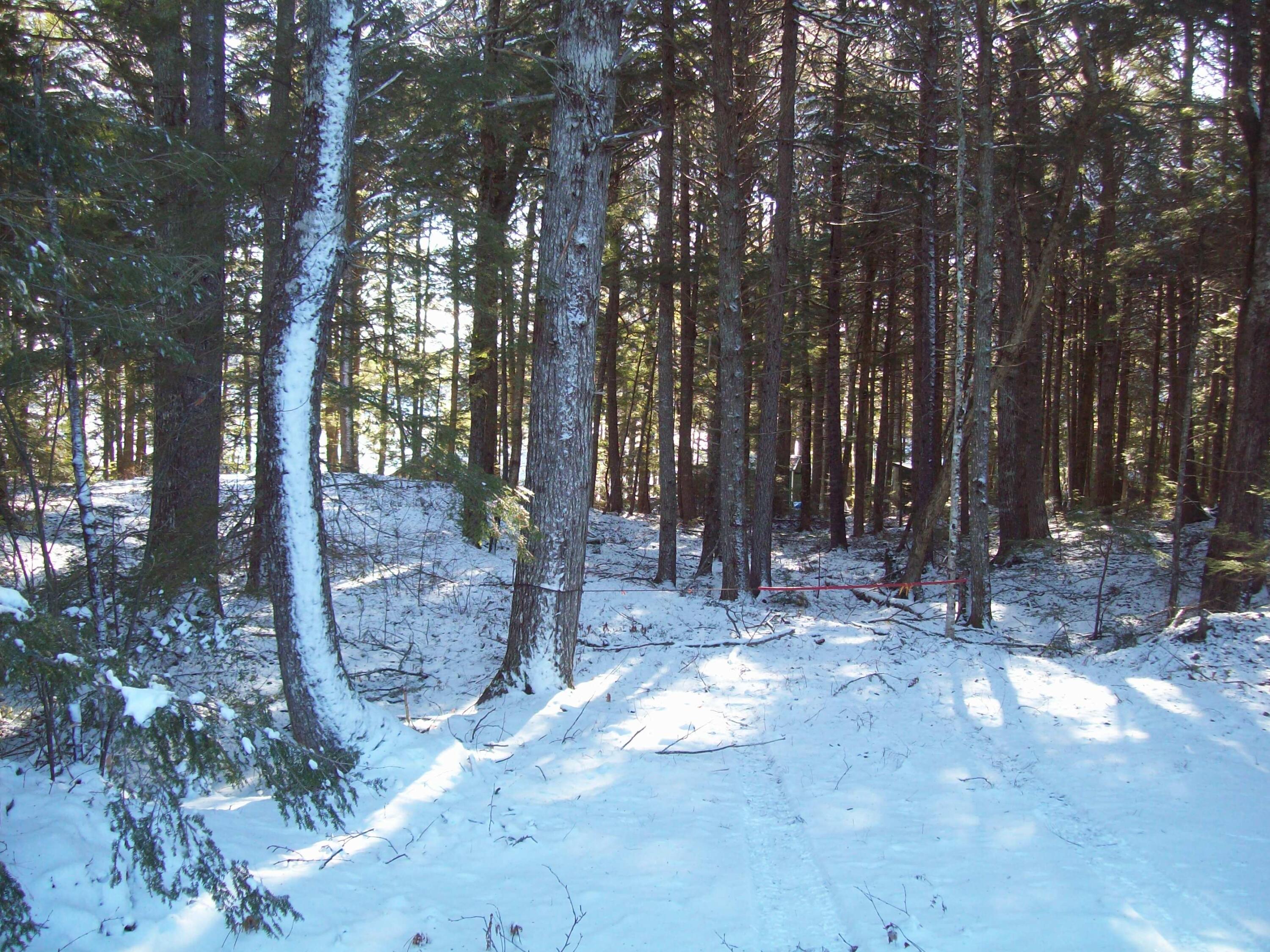 Tbd West Madagascal Road Burlington, ME 04417 - Photo 10 of 10 100_2460