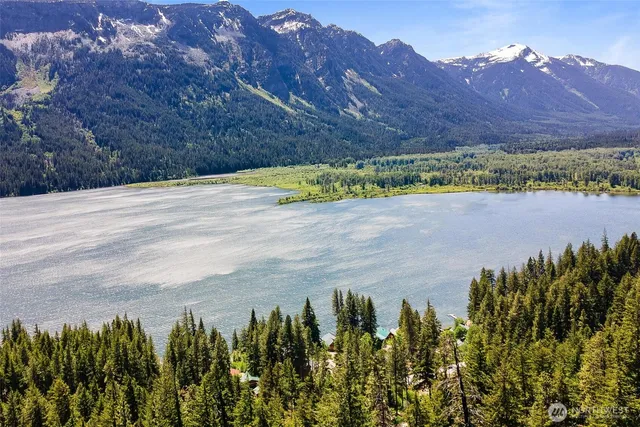 a view of a swimming pool with a yard