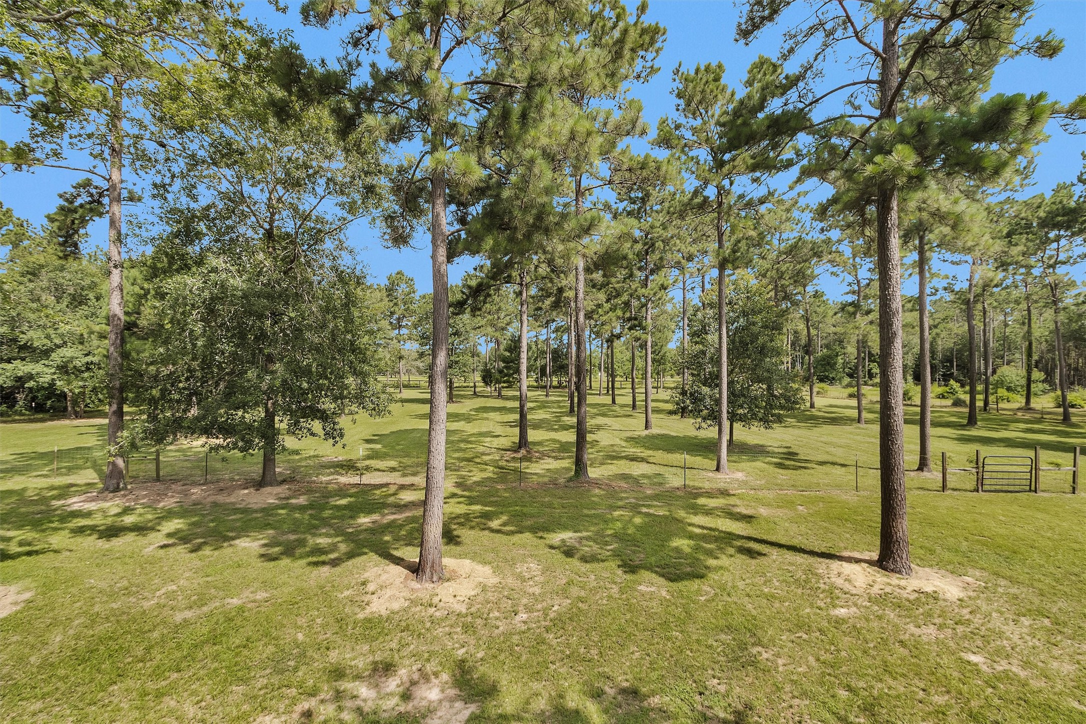 9321 North Walker Road Cleveland, TX 77328 - Photo 41 of 49