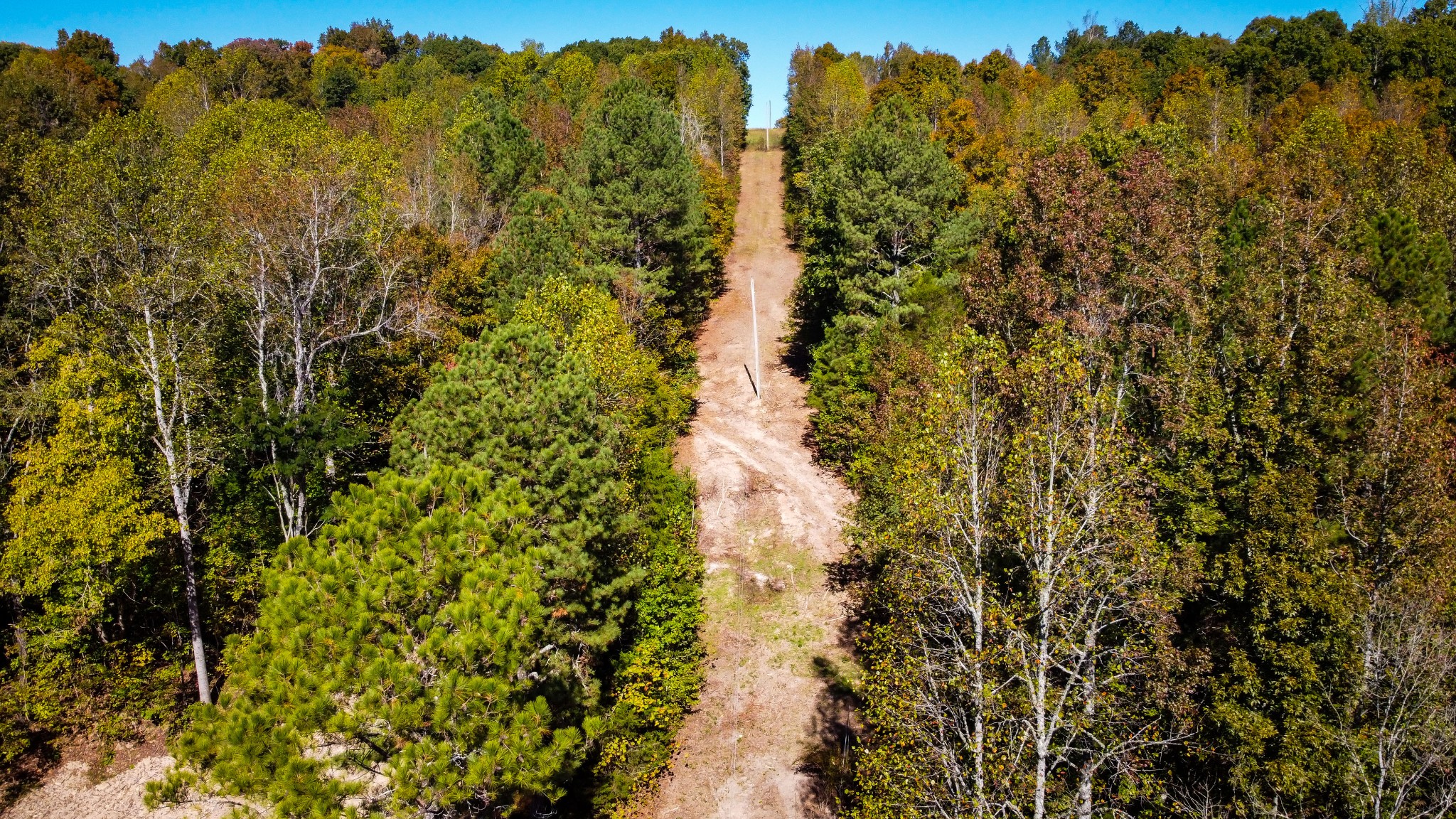 93 Lodi Road Westpoint, TN 38486 - Photo 11 of 21