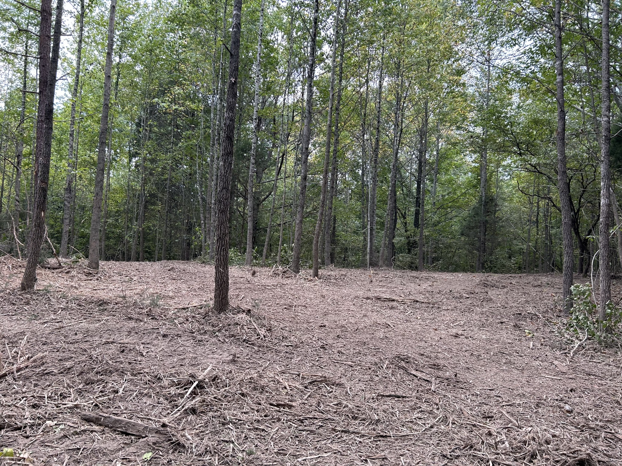 93 Lodi Road Westpoint, TN 38486 - Photo 12 of 21