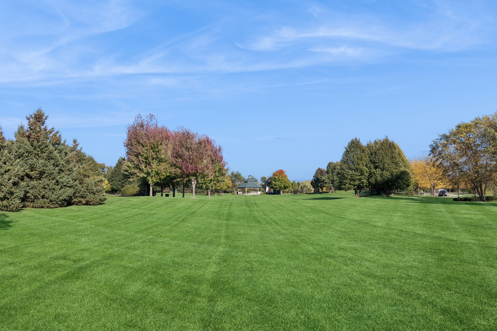 152 Jackson Street Gilberts, IL 60136 - Photo 27 of 32 a view of a grassy field with trees