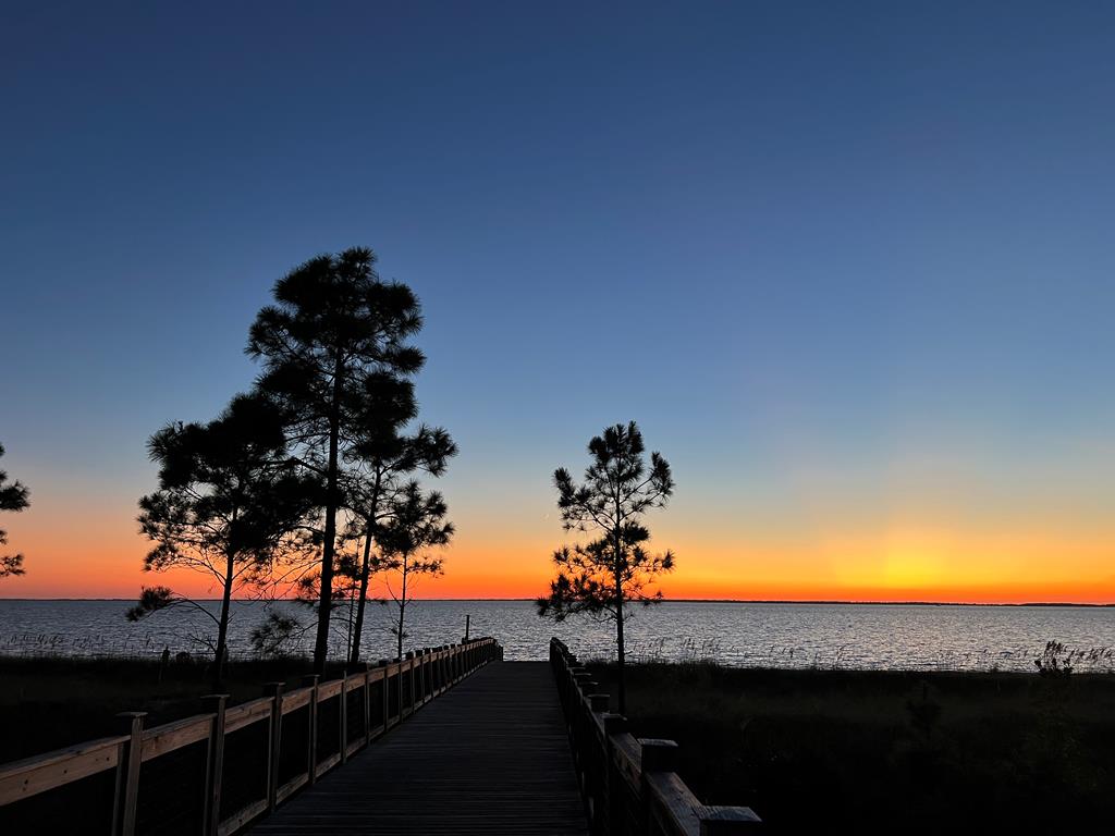 937 Backwater Road Port St. Joe, FL 32456 - Photo 88 of 88