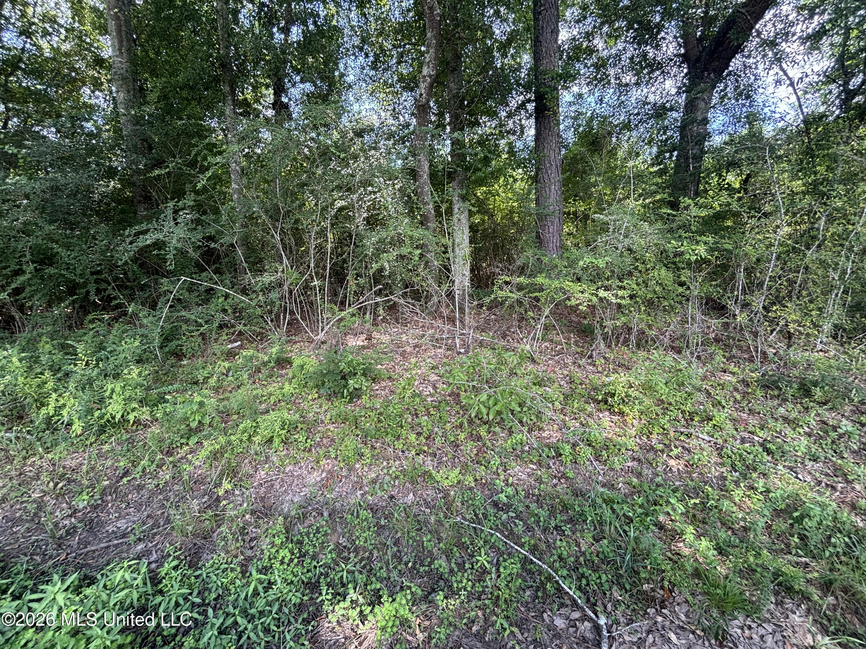 131 B County Road Morton, MS 39117 - Photo 22 of 25 IMG_4844