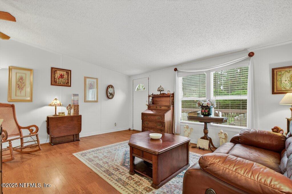 695 Carlin Road Satsuma, FL 32189 - Photo 9 of 53 a living room with furniture and a window