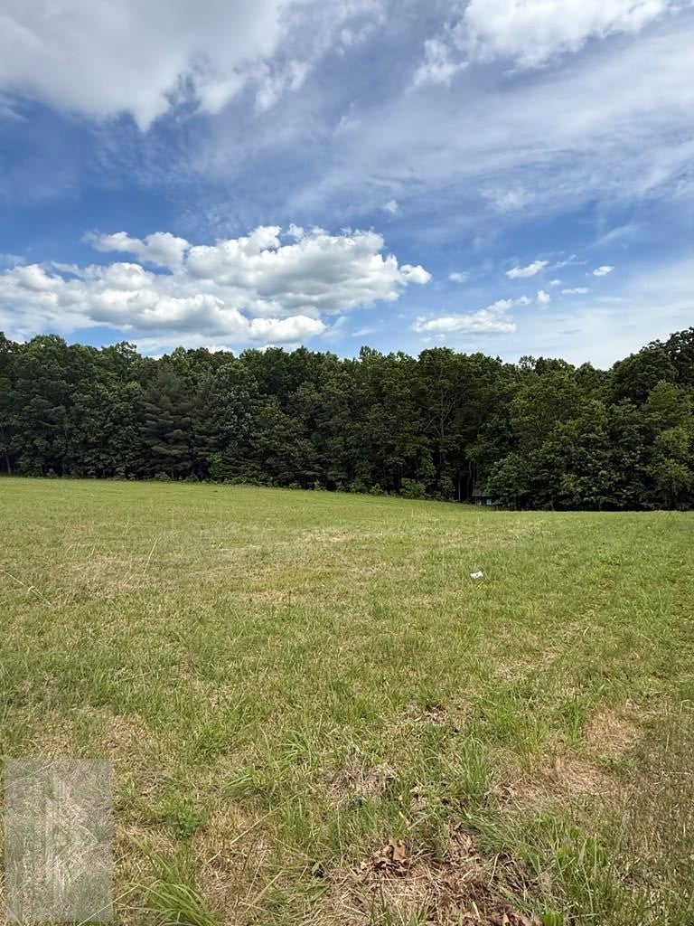 0 Fritz Run Road Ballard, WV 24918 - Photo 2 of 13 Gallery Image 2
