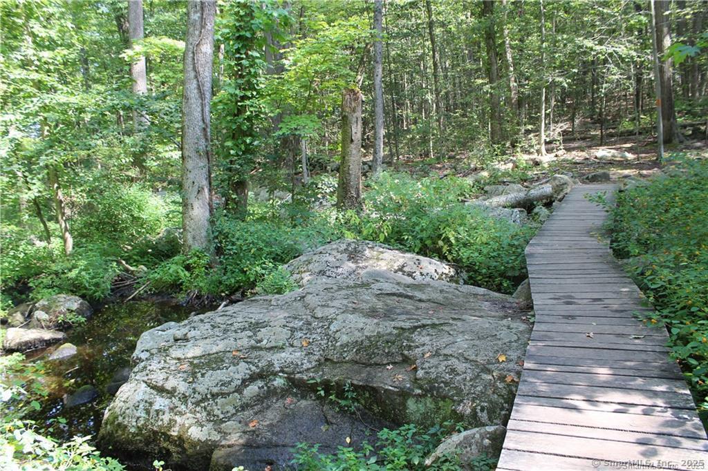 97 Graenest Ridge Road Wilton, CT 06897 - Photo 34 of 39 Bradley Park's boardwalk hiking trail