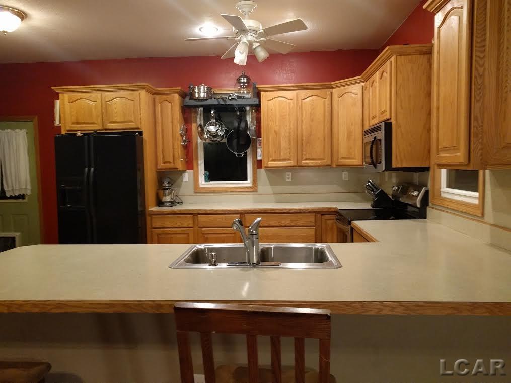 13803 Highway 223 Riga, MI 49276 - Photo 5 of 21 31271944-4.JPG