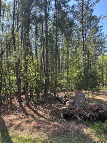 $30,000 | L14-b39 Antioch Drive, McCormick, SC 29835