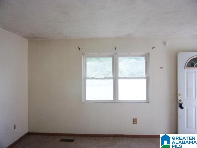 8763 Bradford Trafford Road Pinson, AL 35126 - Photo 3 of 11
