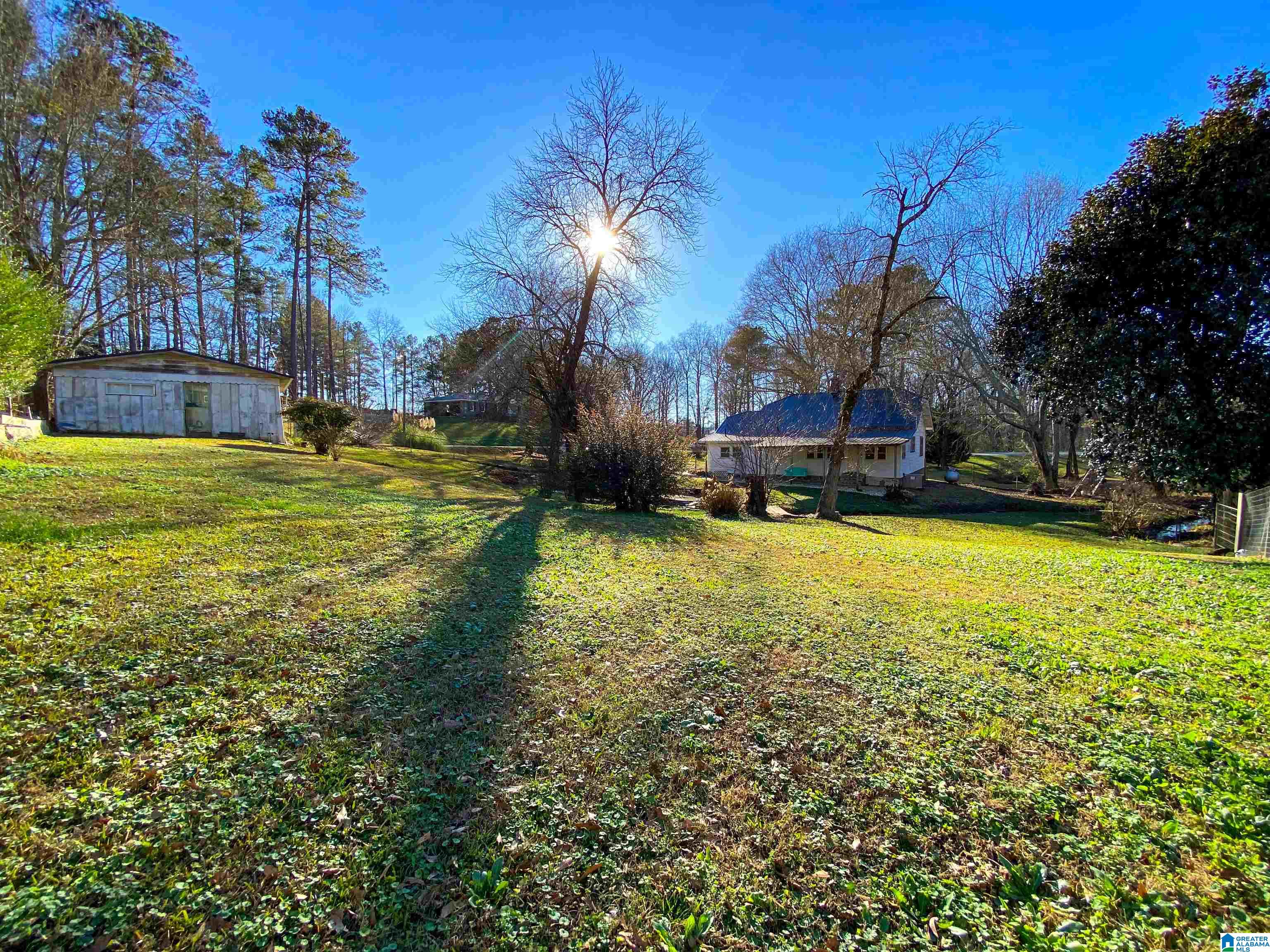 2858 Frank Ledbetter Memorial Drive Ranburne, AL 36273 - Photo 22 of 49