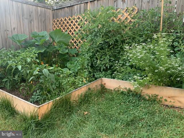 17634 Kohlhoss Road Poolesville, MD 20837 - Photo 44 of 44 a view of a garden in a backyard