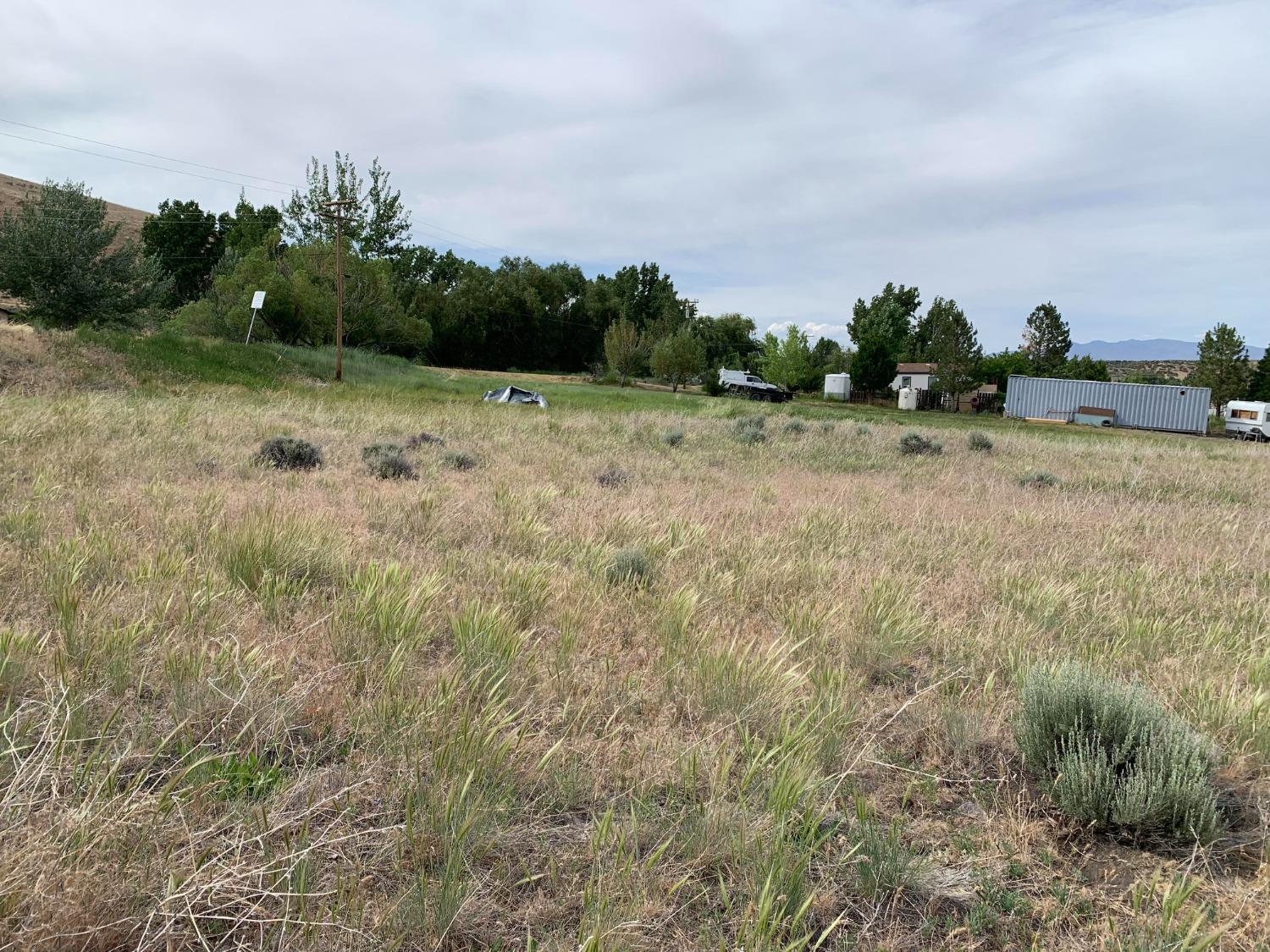 0 Cowboy Joe Road Doyle, CA 96109 - Photo 3 of 7 a view of a field with a tree in it